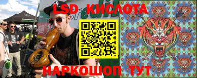 прущие грибы Сланцы