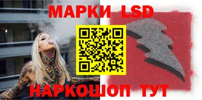 прущие грибы Сланцы